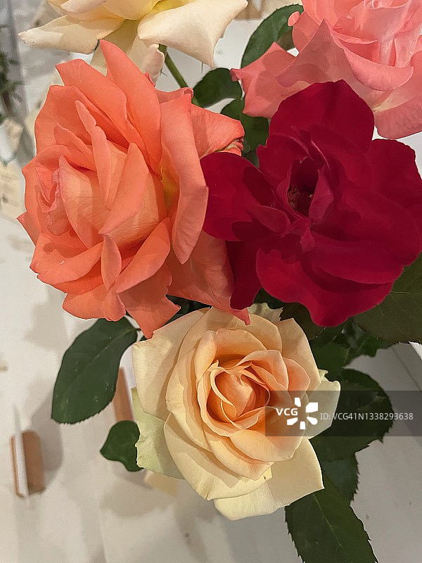 盛开的彩色鲜花图片素材