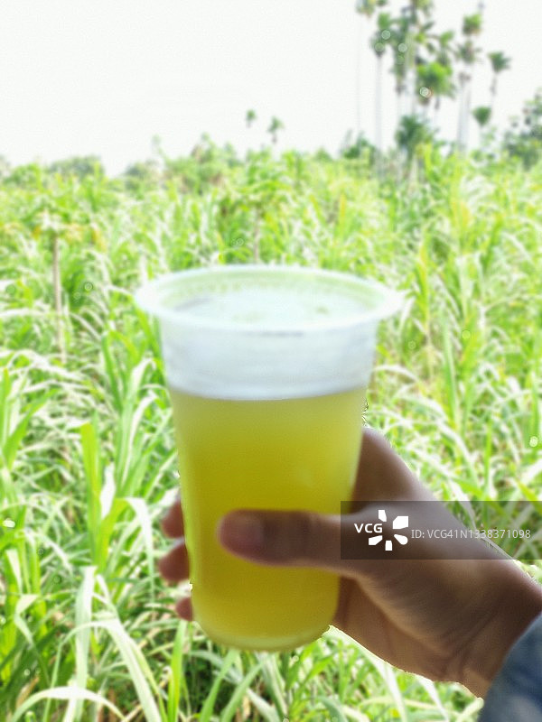 冰镇手杖图片素材