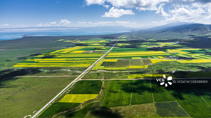 无人机航拍：青海湖畔的油菜花田和稻田，中国青海省图片素材