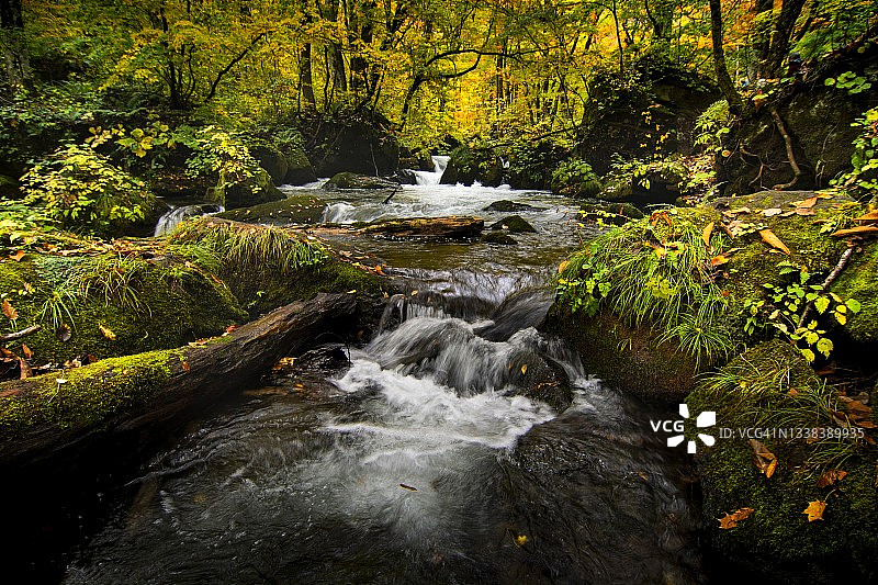 秋天的奥入濑溪流图片素材