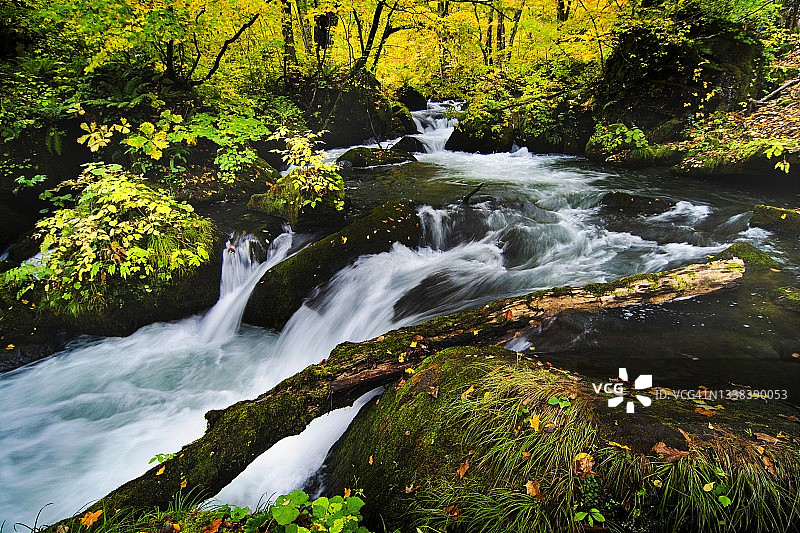 秋天的奥入濑溪流图片素材