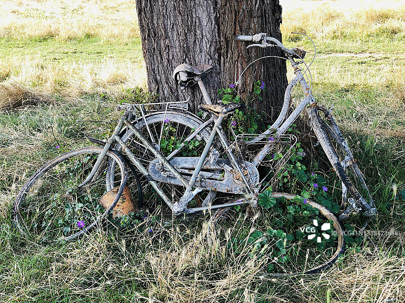 回收自行车图片素材
