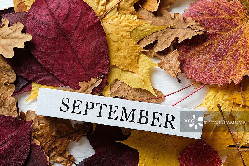 秋叶背景上的九月文字图片素材