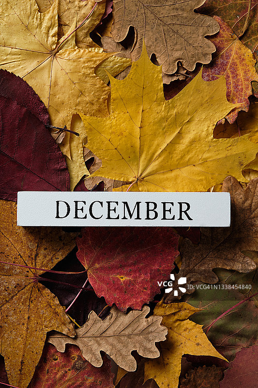 秋季落叶背景上的‘十二月’字样，黄橙红棕色叶子图片素材