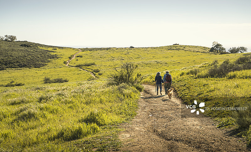 老年夫妇在草地小路上徒步旅行背影图片素材