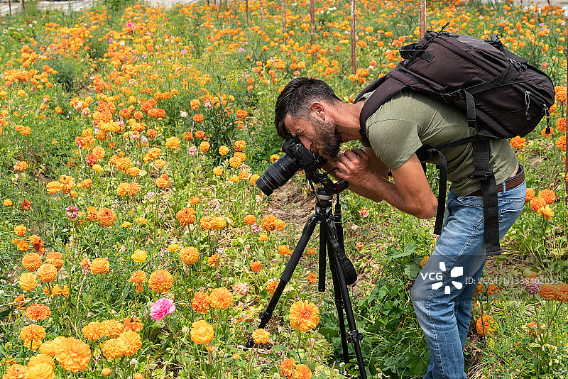 摄影师拍摄花卉微距照片图片素材