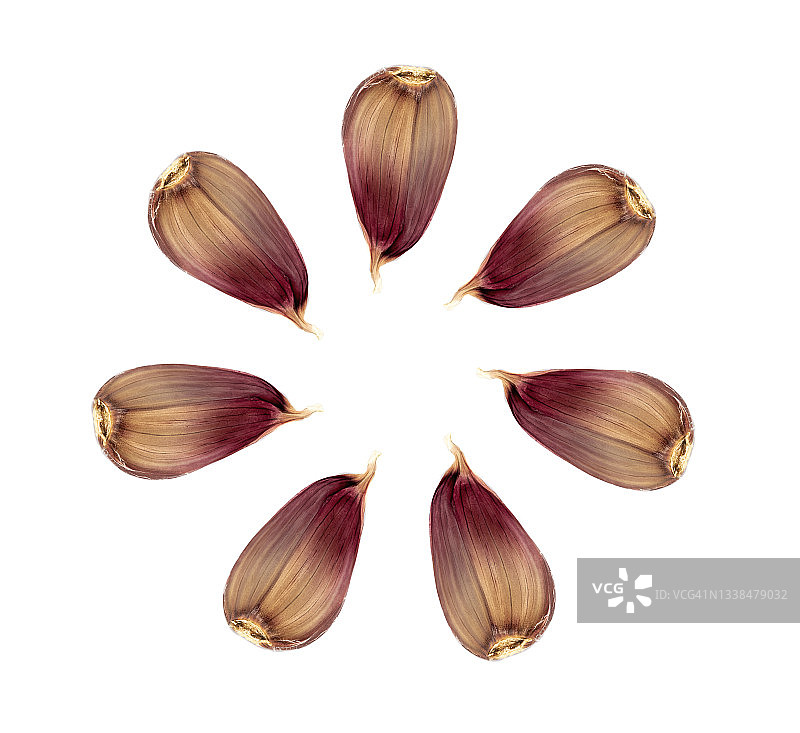 白色背景下大蒜构成圆圈的特写图片素材