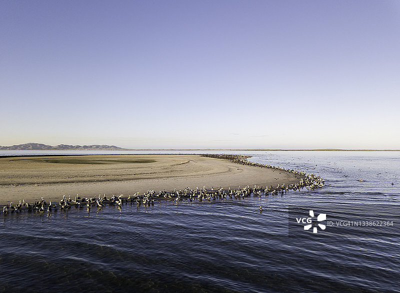 墨西哥下加利福尼亚州马格达莱纳湾的鹈鹕和鸬鹚海鸟栖息地鸟瞰图片素材