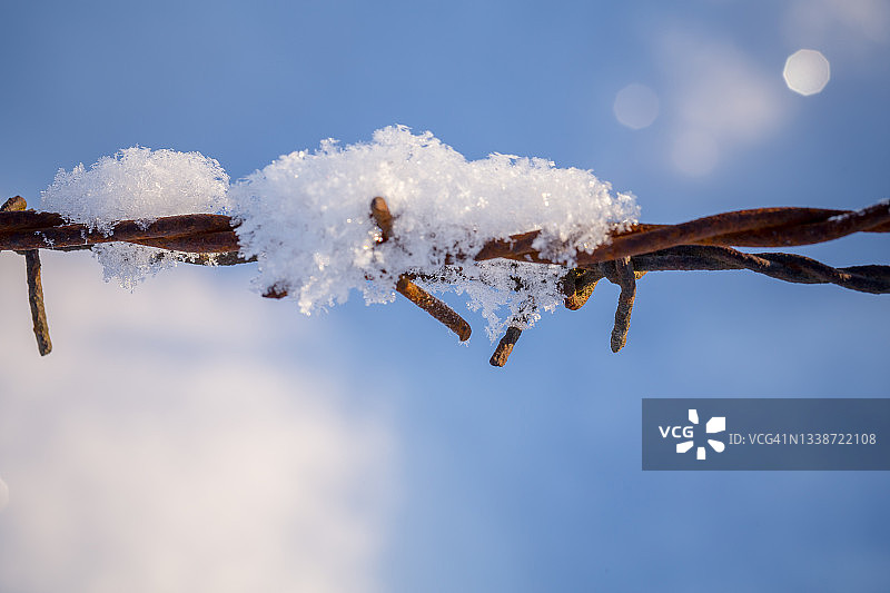 雪地草甸中的生锈铁丝网图片素材