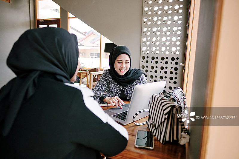 两位年长的女高管用笔记本电脑进行商务洽谈图片素材