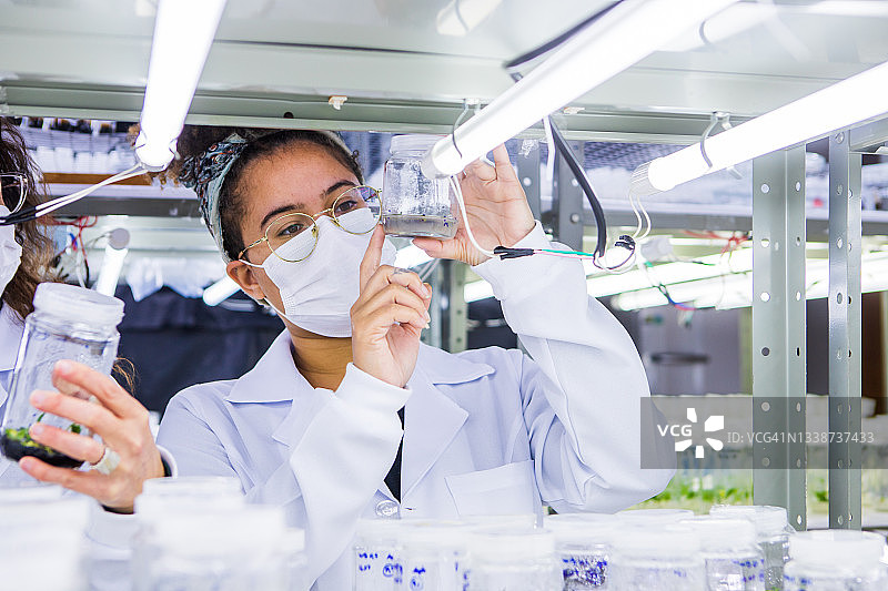 师生分析植物生长箱图片素材