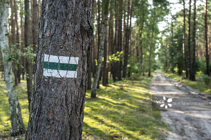 徒步小径指示牌图片素材