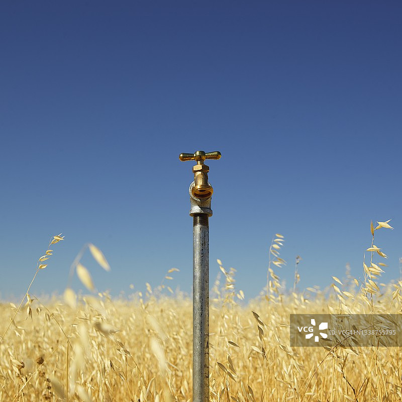 田野里的水龙头图片素材