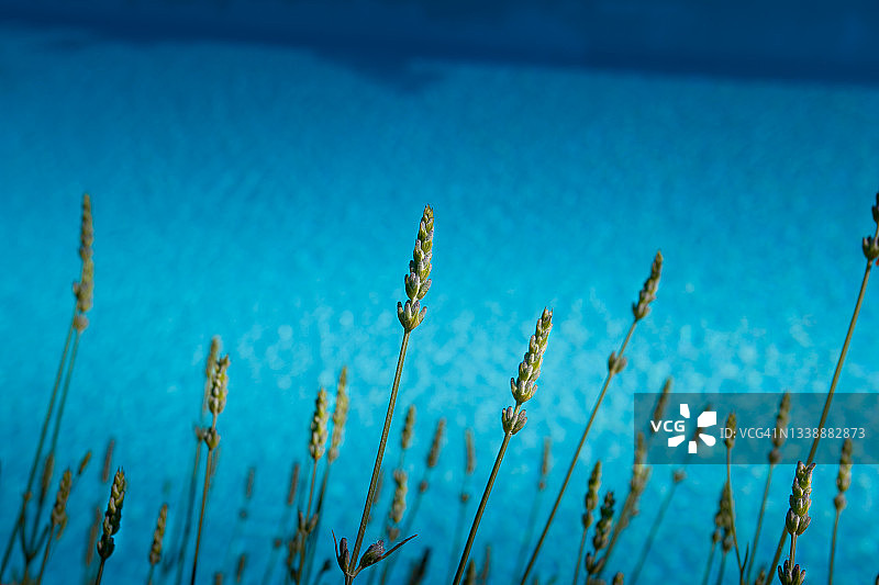 瓦尔加诺，卢卡 - 意大利托斯卡纳图片素材