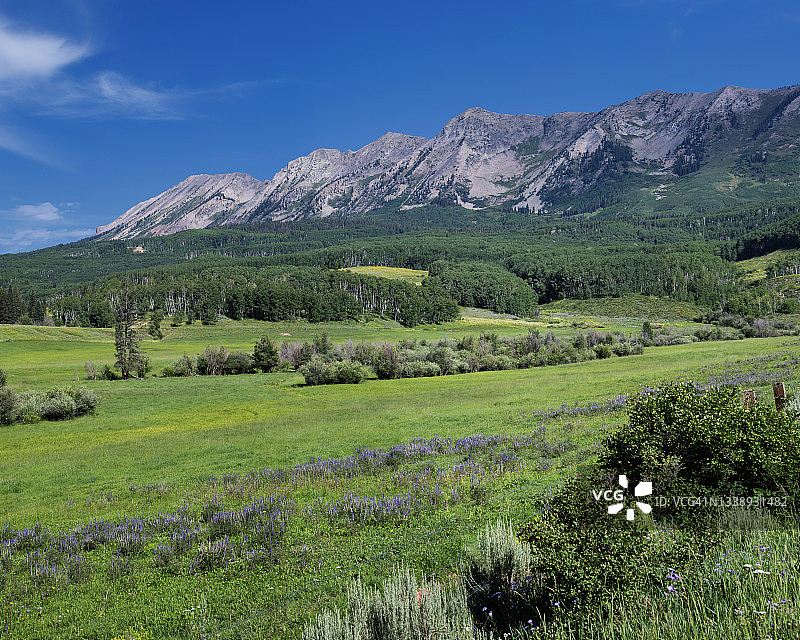俄亥俄州通道花田图片素材