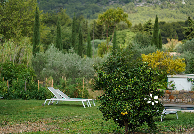 自然风光中的日光浴床图片素材