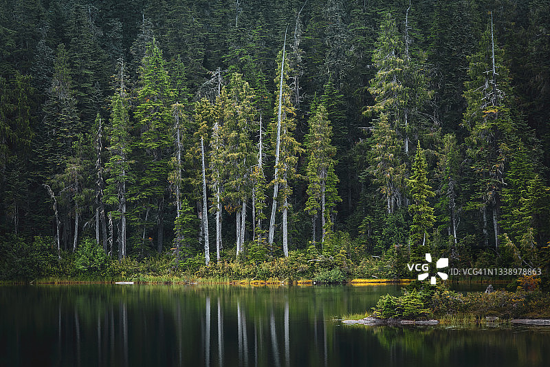 天堂草甸荒野小径图片素材