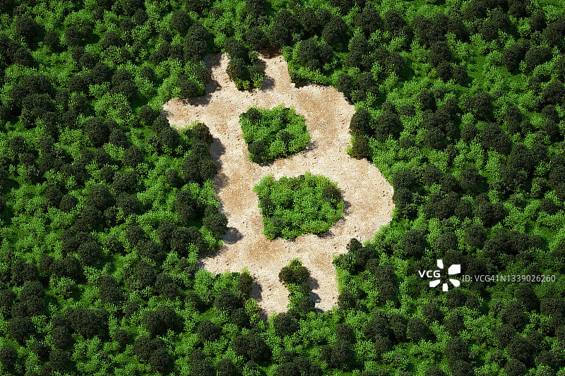 森林中比特币标志图案图片素材