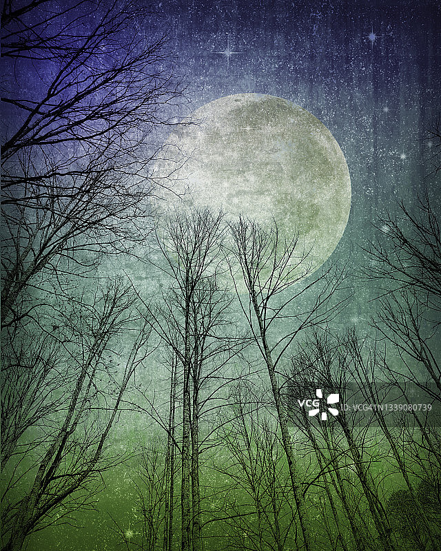 奇幻天空，满月，树木，星星—梦幻氛围图片素材