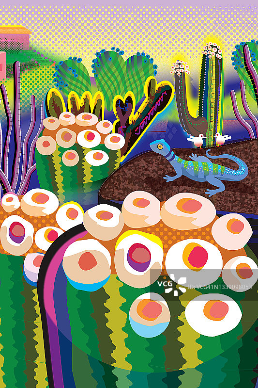 蓝色壁虎图案的沙漠仙人掌花园图片素材