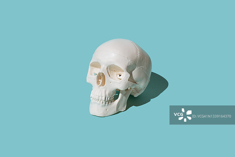 蓝色背景上的头骨万圣节概念图片素材