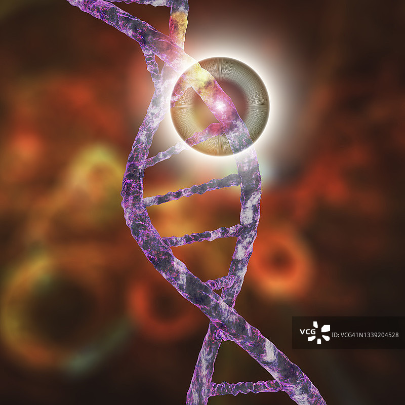 基因突变概念图图片素材