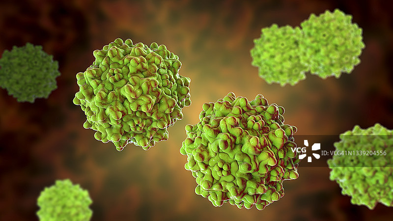 腺相关病毒示意图图片素材