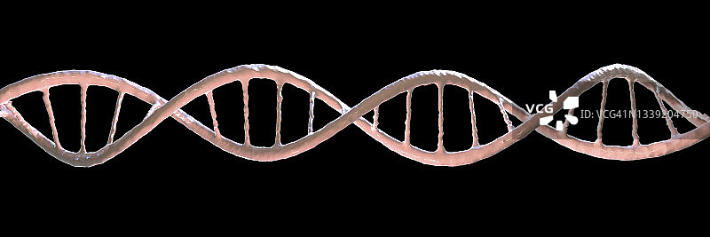 DNA分子、插图图片素材