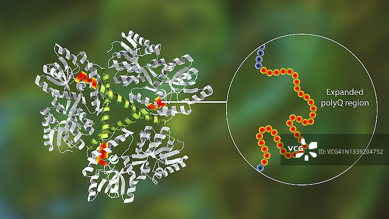 突变亨廷顿蛋白图示图片素材