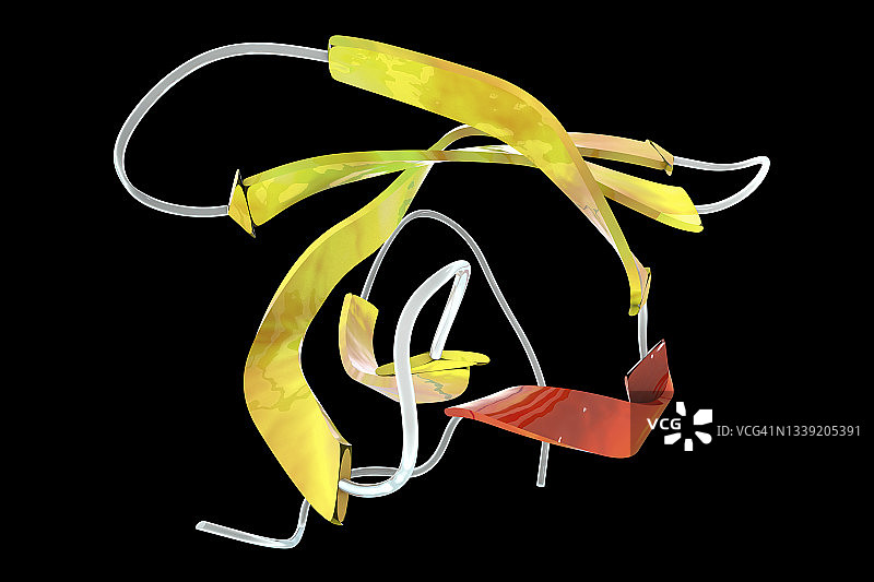 运动神经元生存蛋白插图图片素材