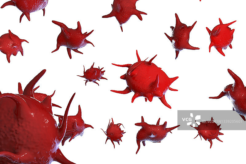 活化血小板（图示）图片素材