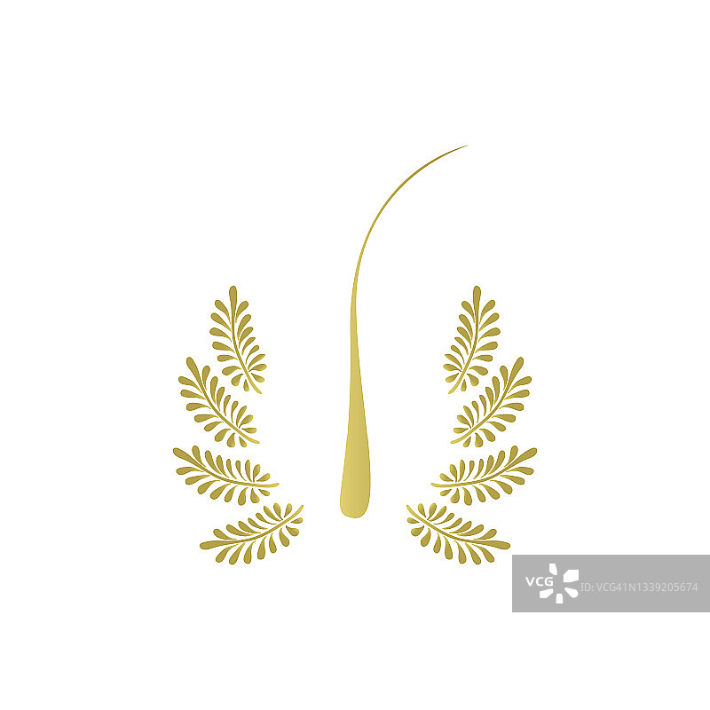 金色毛囊概念图图片素材