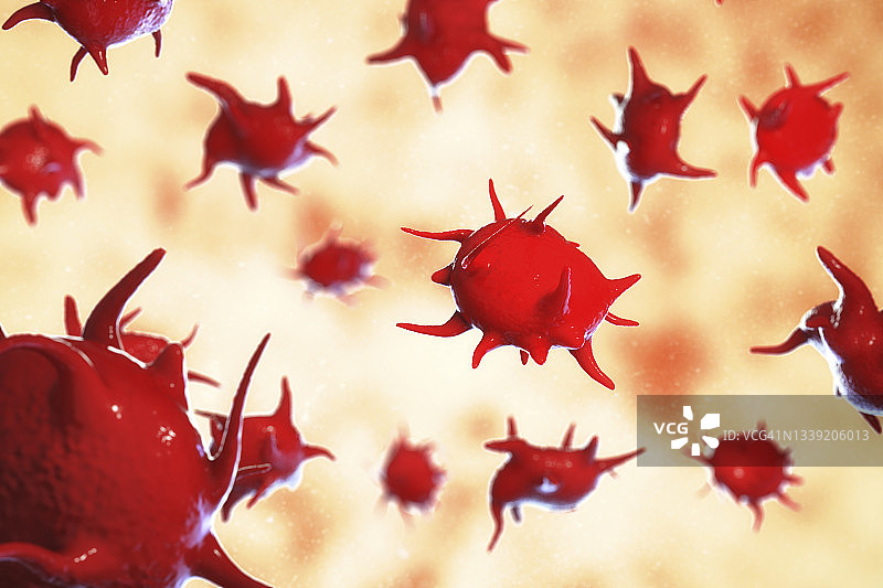 活化血小板（图示）图片素材