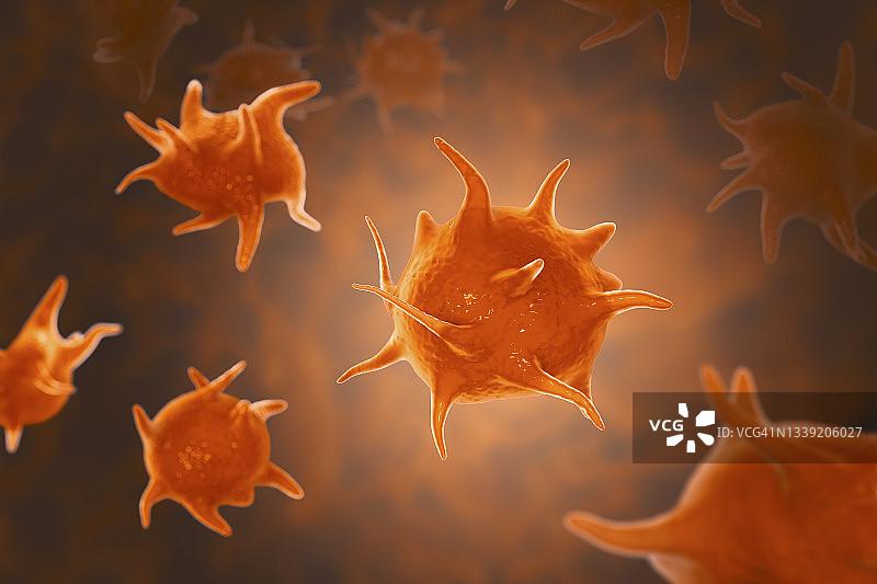 活化血小板（图示）图片素材