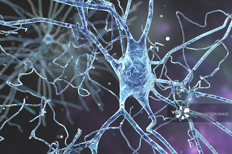 人脑神经细胞图图片素材