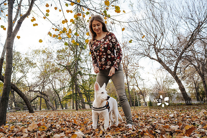 微笑的年轻女子和白色小狗在公园的落叶上玩耍图片素材