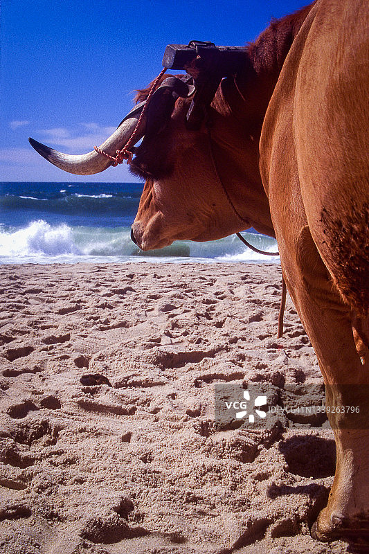 葡萄牙米拉海滩图片素材