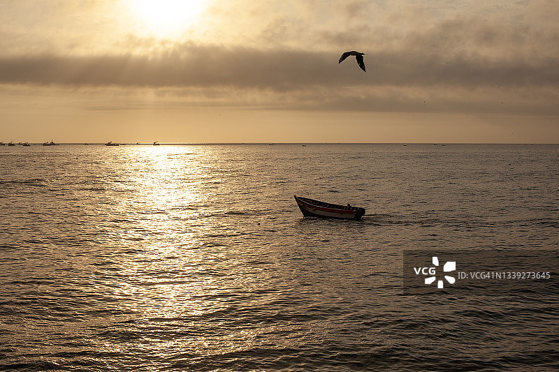 秘鲁北部的小船与鸟图片素材