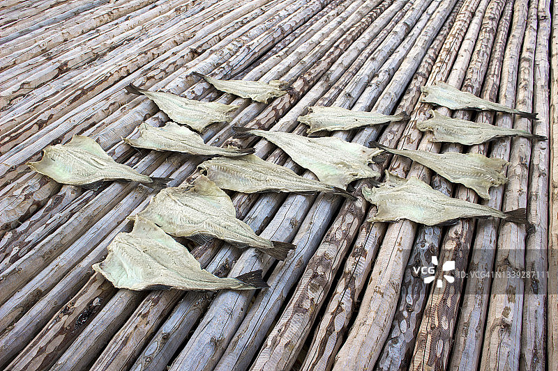 加拿大拉布拉多地区晾晒的鳕鱼图片素材