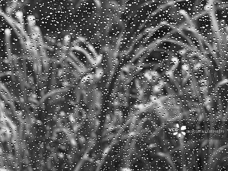 雨天狂想曲图片素材