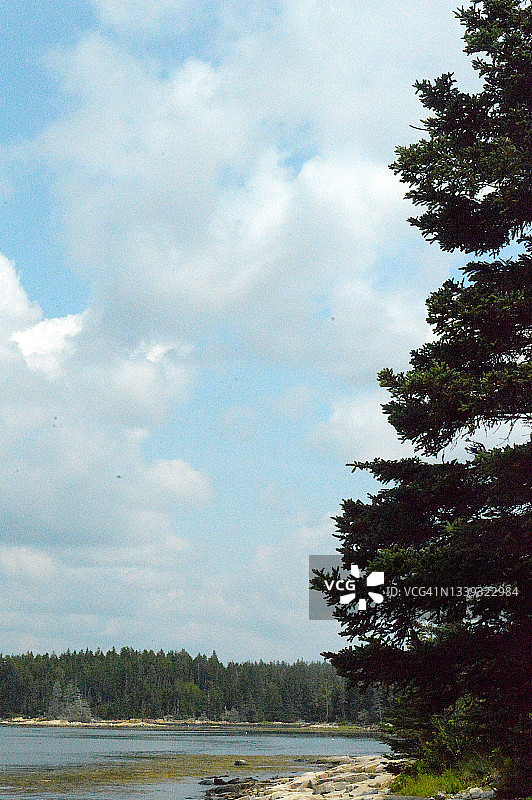 缅因州阿卡迪亚国家公园的斯库迪克半岛图片素材