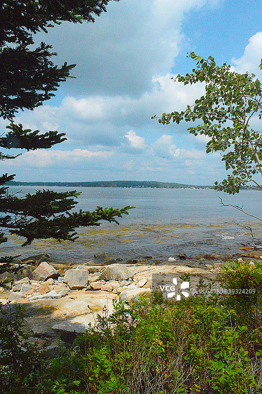 缅因州阿卡迪亚国家公园的斯库迪克半岛图片素材