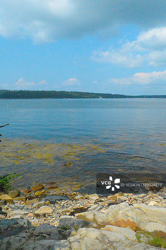 缅因州阿卡迪亚国家公园的斯库迪克半岛图片素材