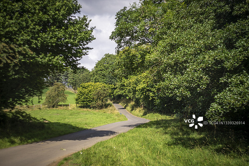 北约克郡沼泽地的上午阳光图片素材