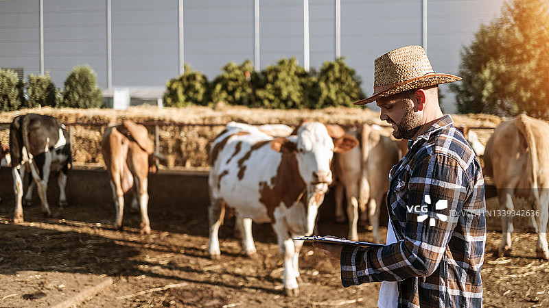 年轻农民在奶牛场工作，农业产业，农耕图片素材
