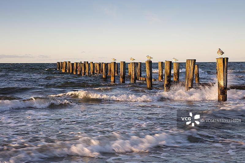 德国梅克伦堡-前波美拉尼亚州辛格斯特海岸丁坝图片素材