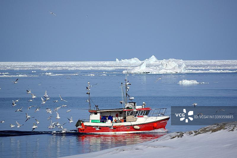 迪斯科湾的渔船、冰山和浮冰，北极格陵兰岛图片素材