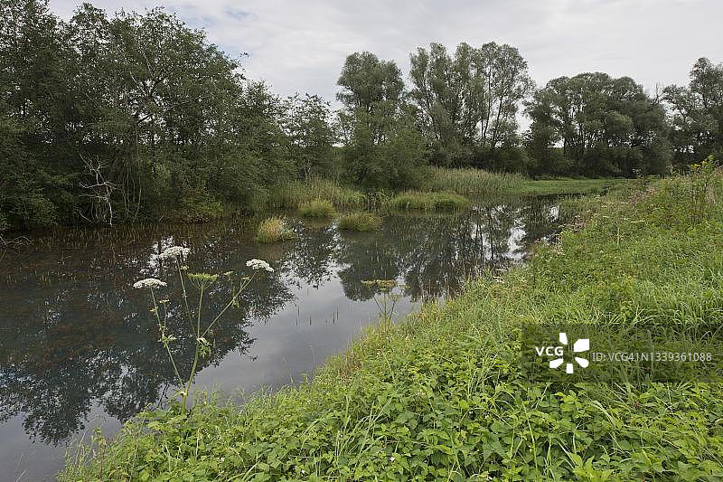 下因河冲积森林保护区，德国巴伐利亚州巴特菲辛图片素材