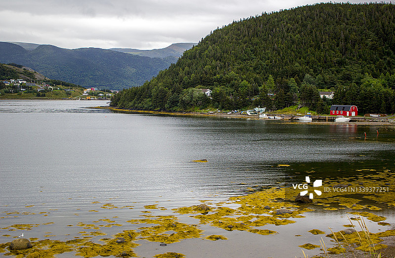 加拿大纽芬兰和拉布拉多诺里斯角图片素材
