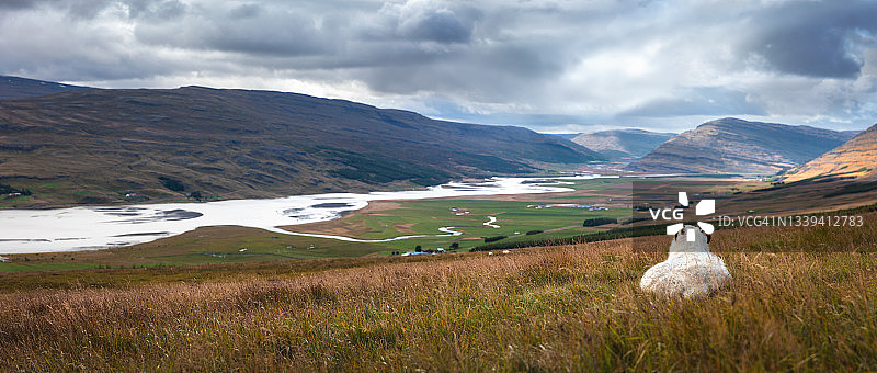 牧场上的冰岛羊图片素材